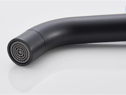 Black matte-finish kitchen faucet with curved spout and circular spray head in brushed gold mixer tap design