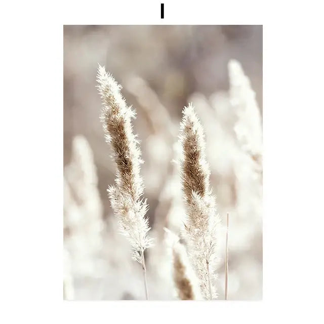 DecorBites beach landscape canvas wall art featuring soft feathery pampas grass plumes in beige flower grass tones