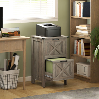 Vertical File Cabinet with 2 Drawers