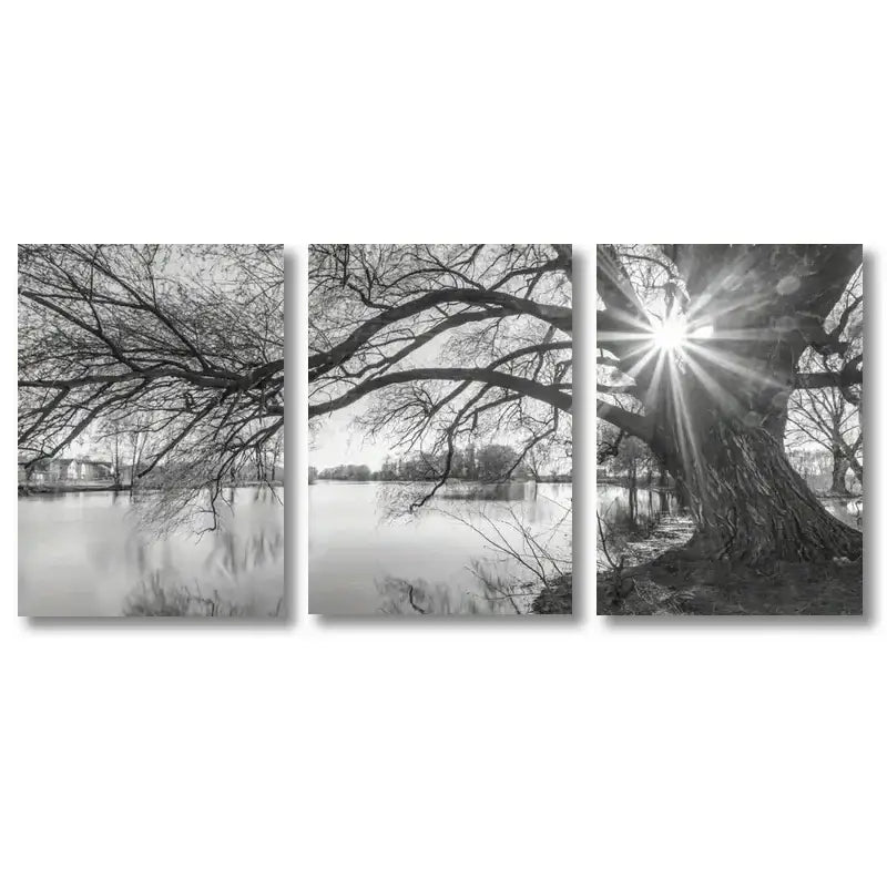 Decorbites™ stunning big tree lake sunset canvas posters feature black and white triptych art with intricate branches and sunburst