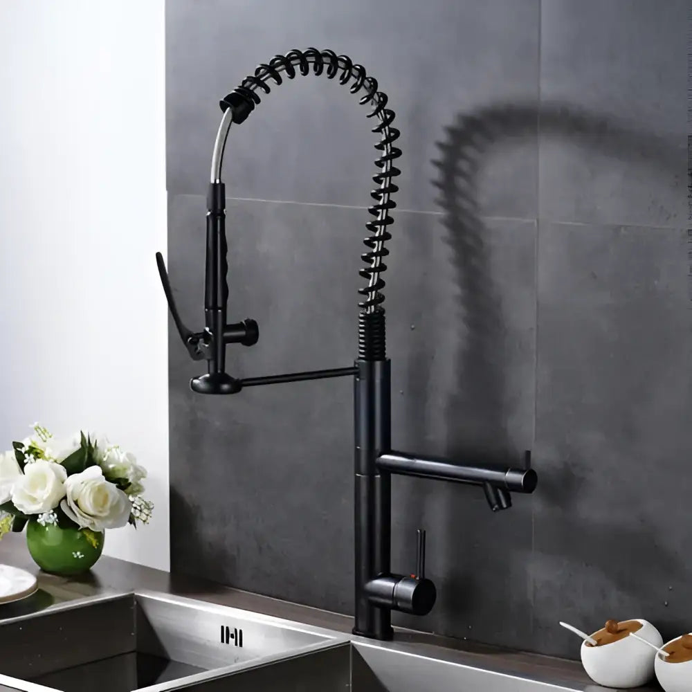 Black bronze kitchen mixer faucet with pull down spray head and black matte coiled spring neck in modern design