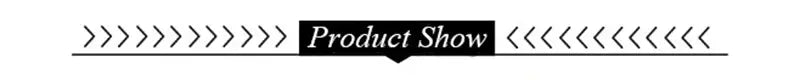 Product show banner with black text framed by decorative lines for decorbites black doberman dog canvas poster art