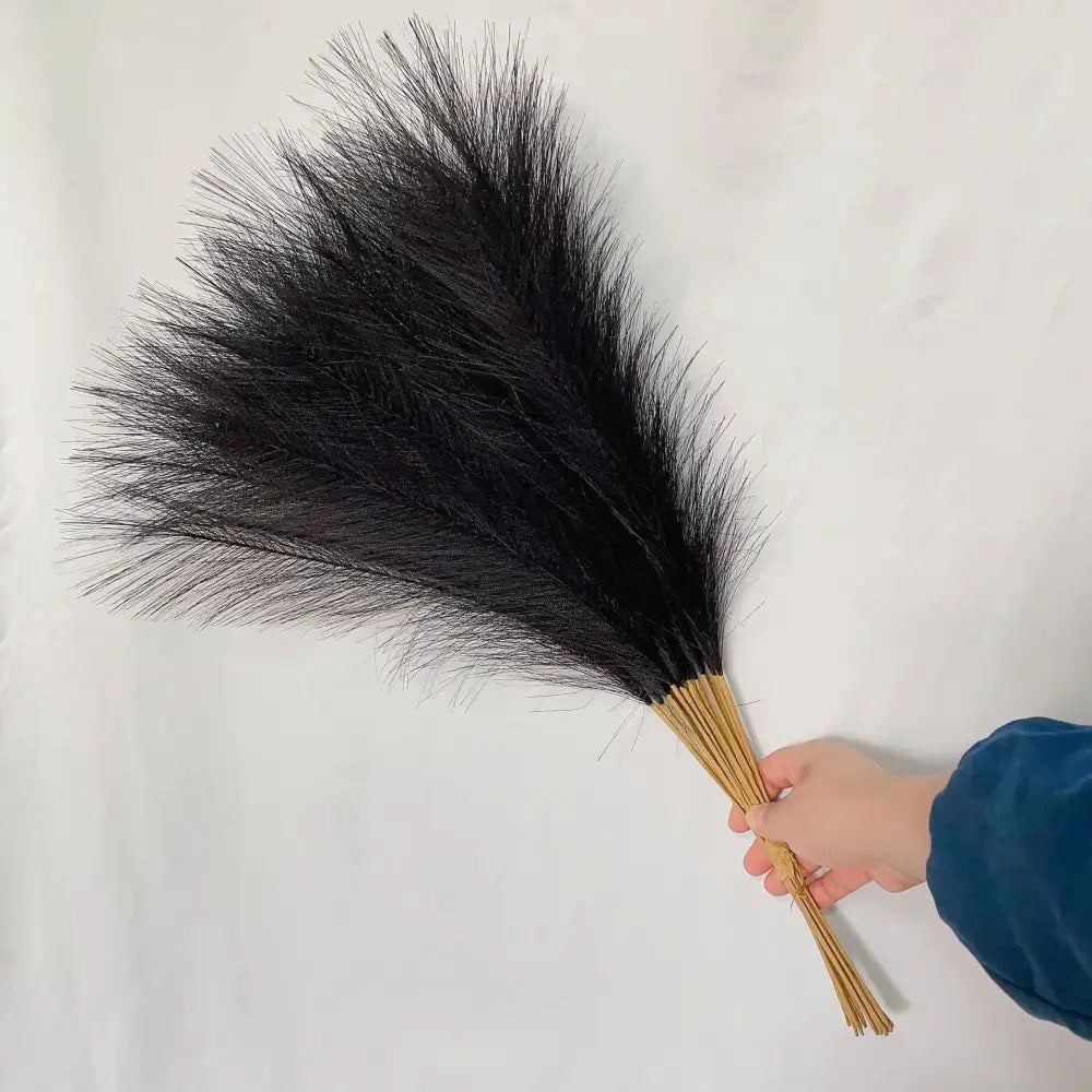 A hand holds black ostrich feathers with natural tan stems as part of boho fluffy pampas grass living room decor
