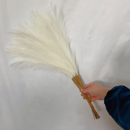A hand holds a bundle of boho white and beige fluffy pampas grass with natural tan stems for living room decor
