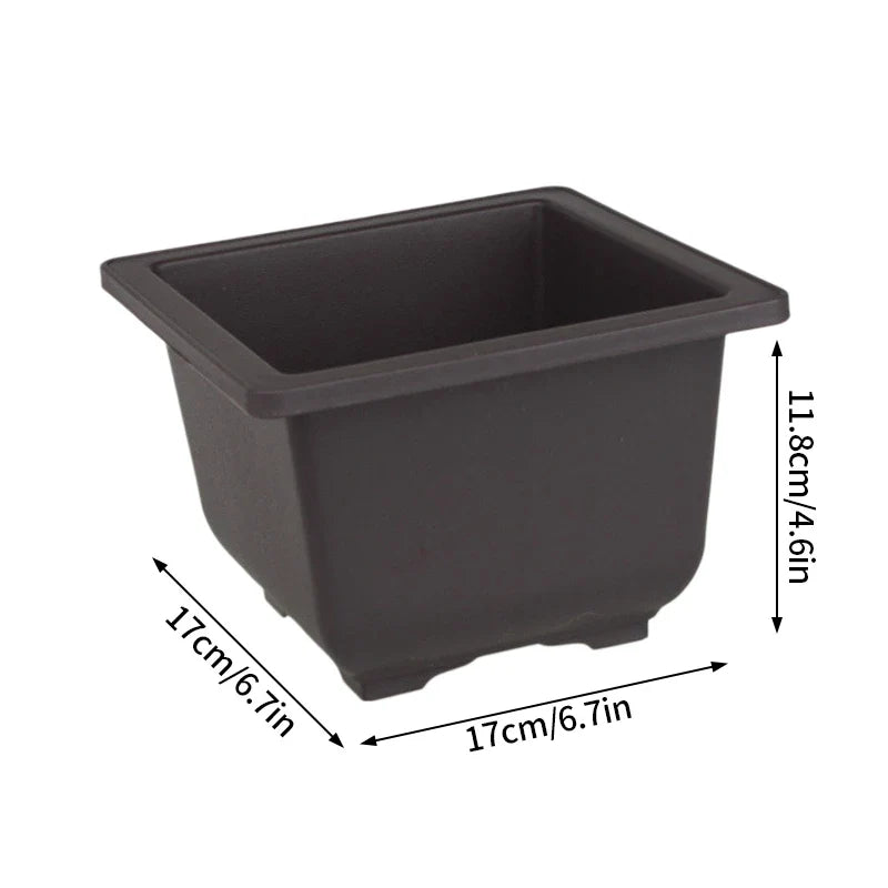 Black rectangular plastic plant pot with rounded corners and raised rim para plantas bonsai and succulents