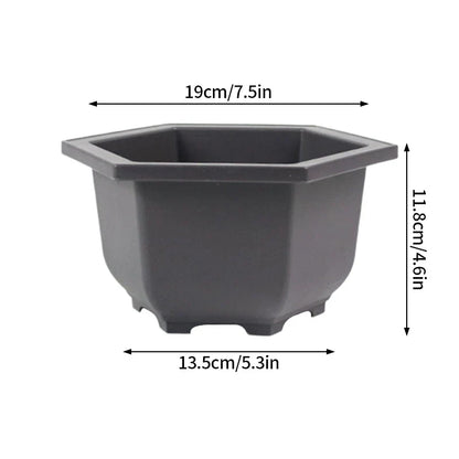 Dark gray hexagonal plastic bonsai plant pot with rounded edges and flared rim for succulents and garden use