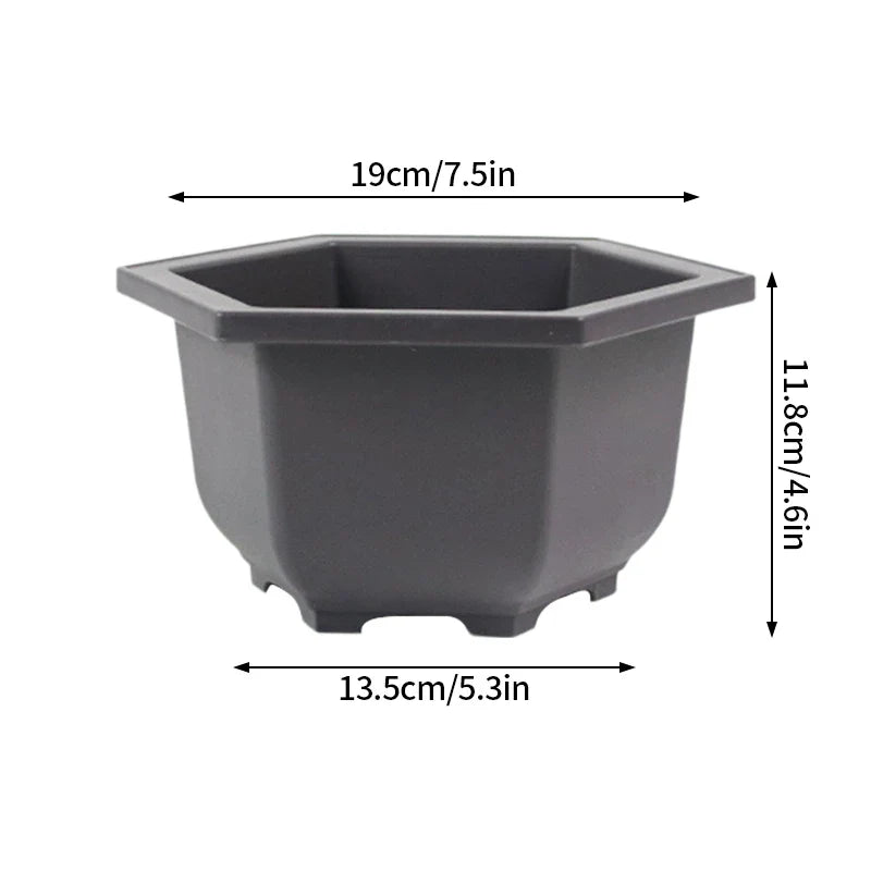 Dark gray hexagonal plastic bonsai plant pot with rounded edges and flared rim for succulents and garden use