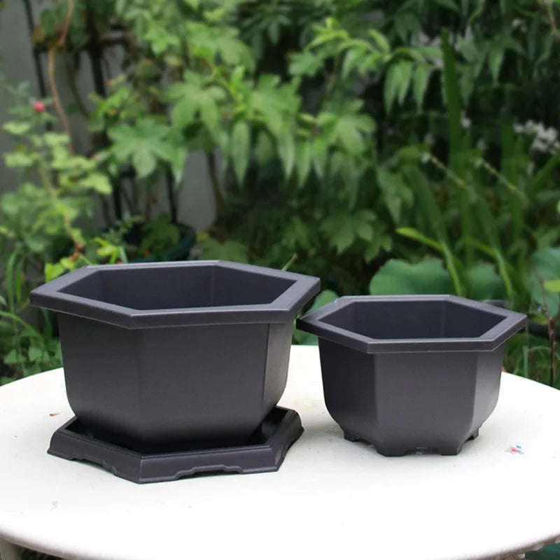 Black hexagonal plastic bonsai plant pots with matching saucers for outdoor garden para plantas and pot flowerpots