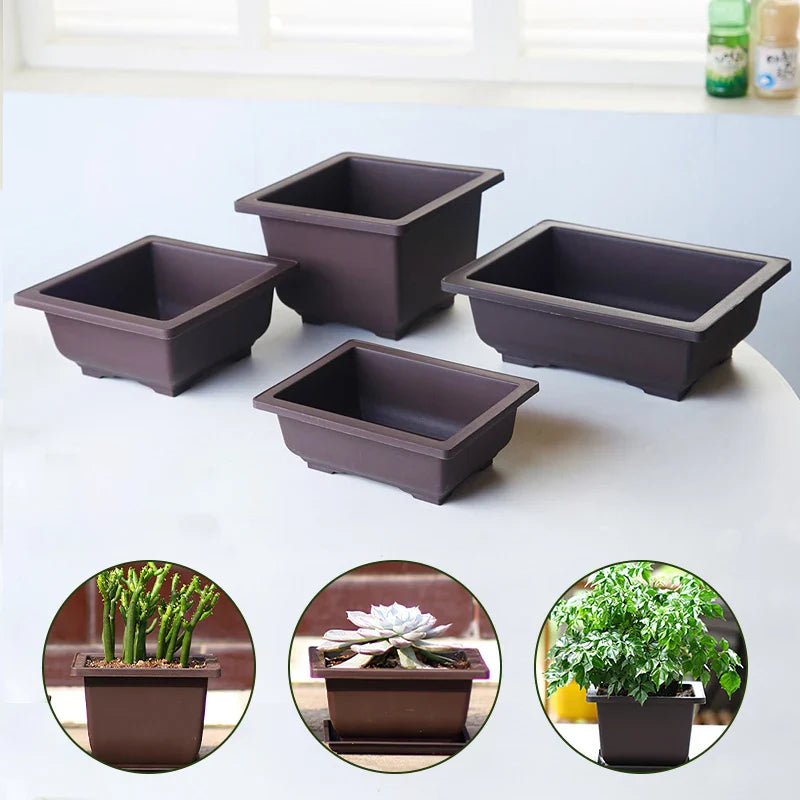 Set of four dark brown rectangular ceramic plant pots with footed bases for succulents and outdoor gardening para plantas