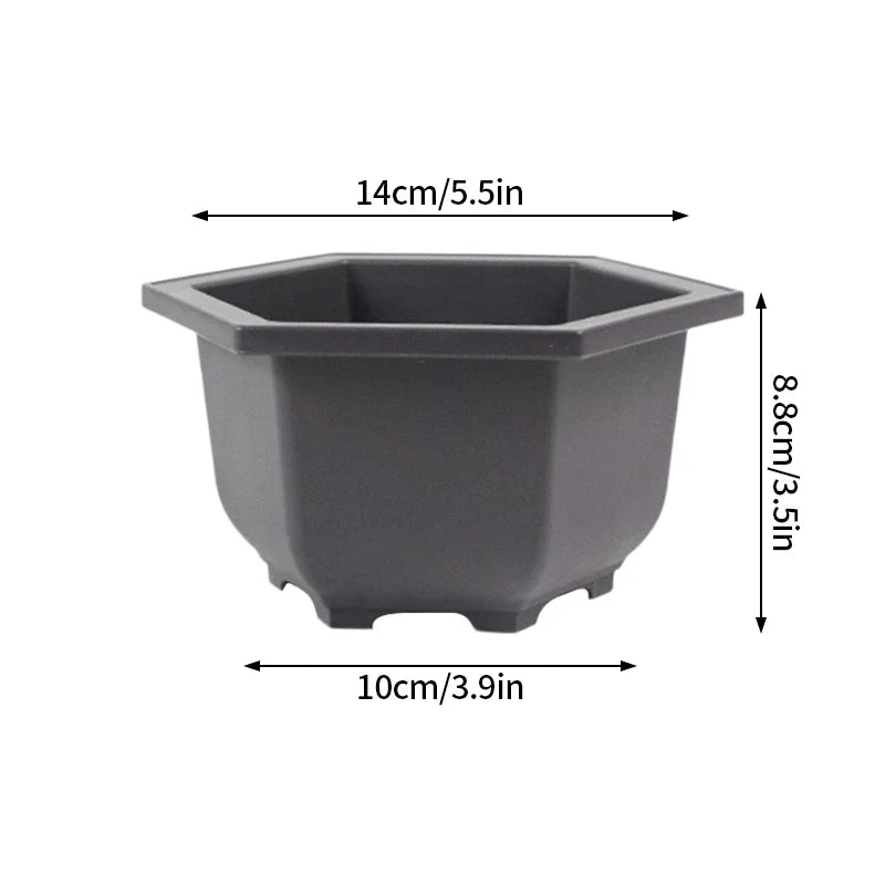 Dark gray hexagonal plastic bonsai plant pot with rounded corners tapered design for outdoor garden use para plantas