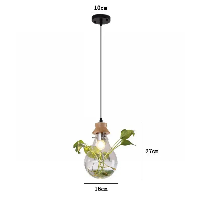 Clear glass pendant light with wooden cap and hanging green plant inside for decorbites botanical glass bottle pendant light
