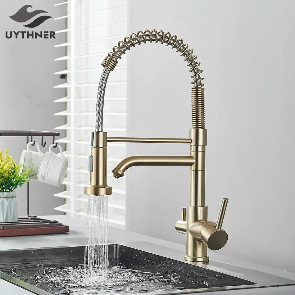 Brass dual spout water filter faucet with a flexible coiled hose and pull down spray head for kitchen use