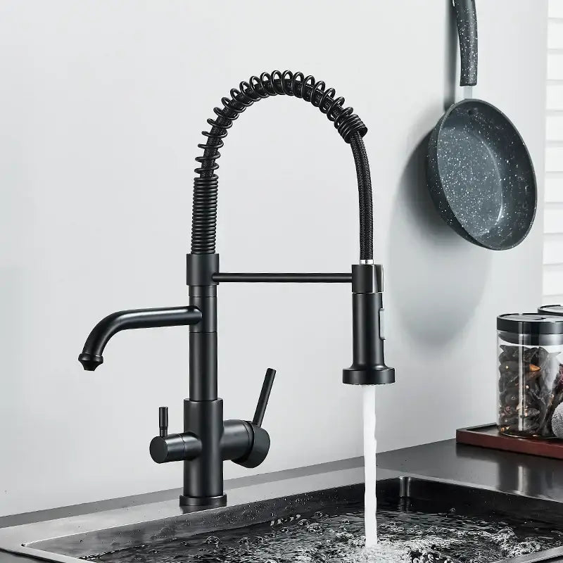Black matte brass dual spout water filter faucet with coiled pull down spray and dual handles for kitchen use