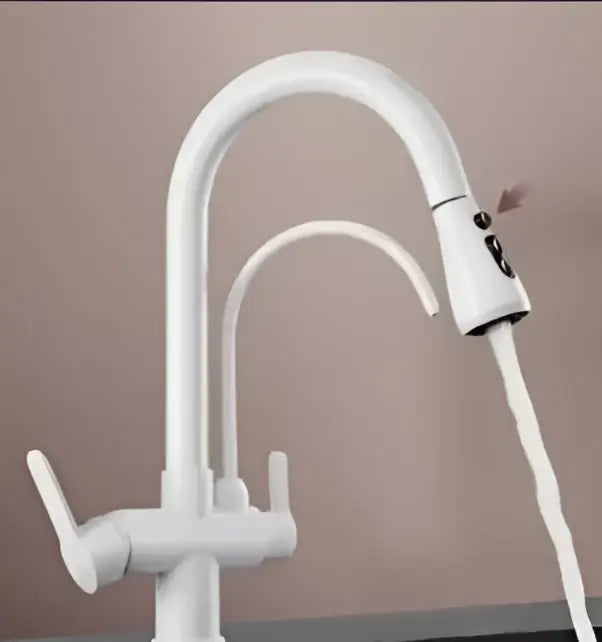White brass kitchen faucet with curved spout dual handles and water control for pull down spray and filter use