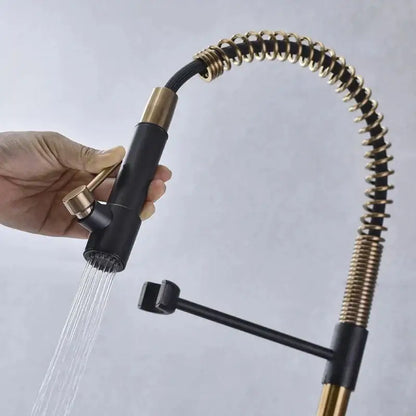 Brushed gold and black flexible spring spout kitchen faucet with coiled hose for modern brushed gold kitchen decorbites design