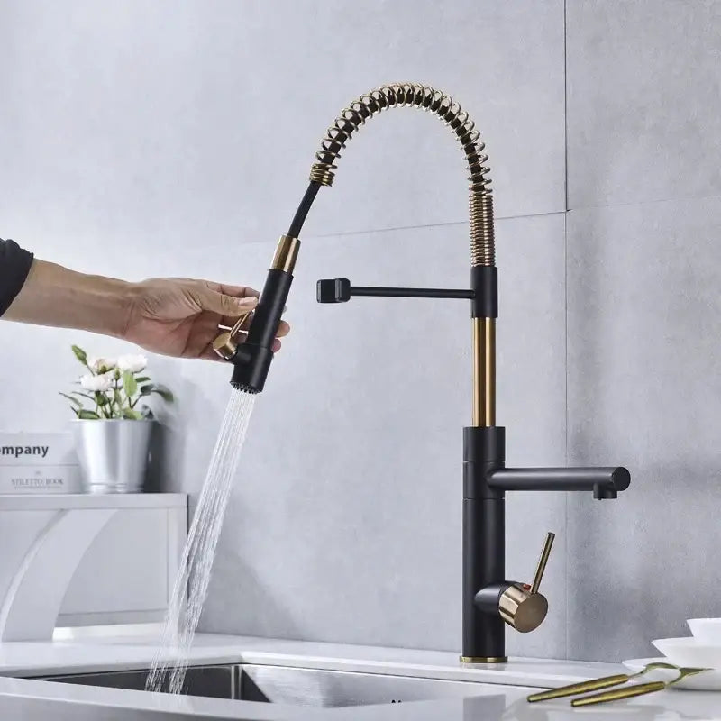 Brushed gold and black flexible spring spout kitchen faucet with coiled spray head for modern kitchen decorbites brushed gold