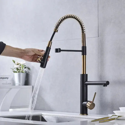 Brushed gold and black flexible spring spout kitchen faucet with coiled spray head for modern kitchen decorbites brushed gold