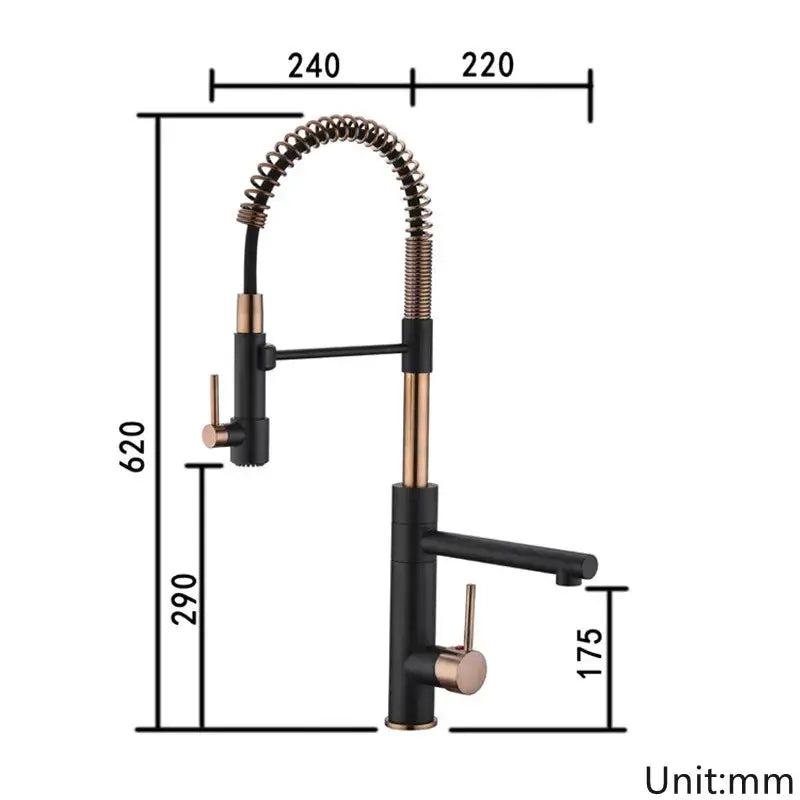 Brushed gold and black kitchen faucet with two handles and flexible coiled gooseneck spout by decorbites brushed gold