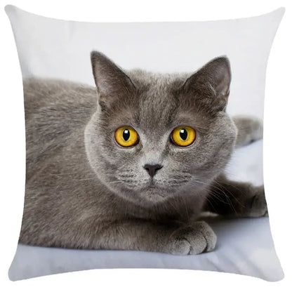 White square cushion cover with gray british shorthair cat and yellow eyes for decorbites bubble black cats decor