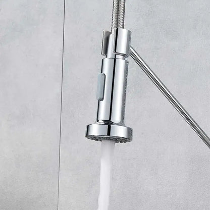 Chrome finished DecorBites dual function kitchen sprayer head with flexible braided hose and modern pull-down design