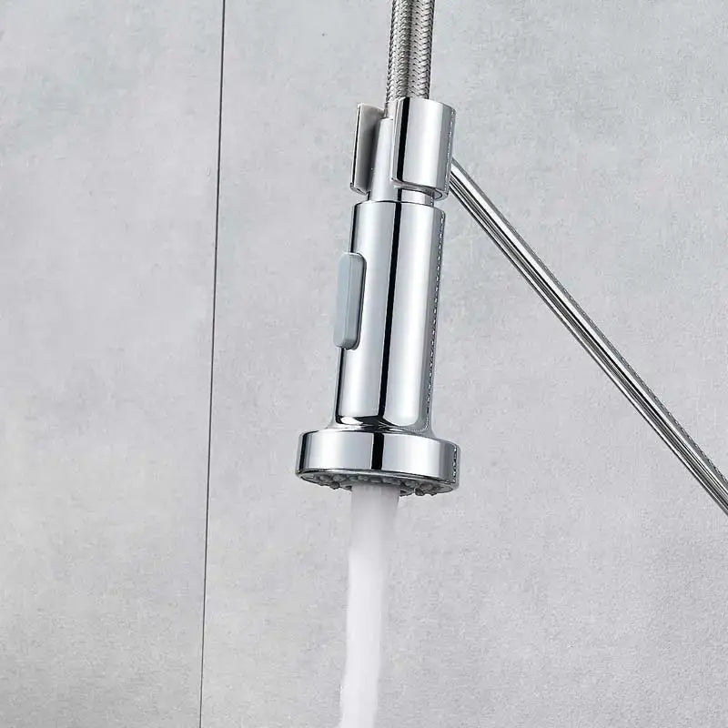 Chrome finished DecorBites dual function kitchen sprayer head with flexible braided hose and modern pull-down design