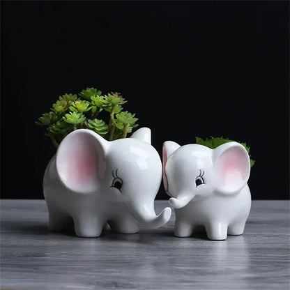 Cute white ceramic elephant succulent planter with pink ears and black eyelashes holding small green succulent
