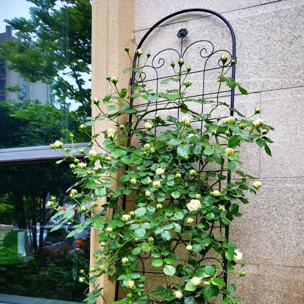 4er-Set Metall-Gartenspaliere für Kletterpflanzen im Freien 220 cm x 50 cm Rostfreie Pflanzenstütze Rosen-Spaliere Netz Spalier Schwarz