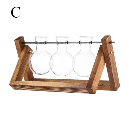Clear glass bud vases mounted on a rustic wooden stand for hydroponic plants and tabletop decoration terrarium
