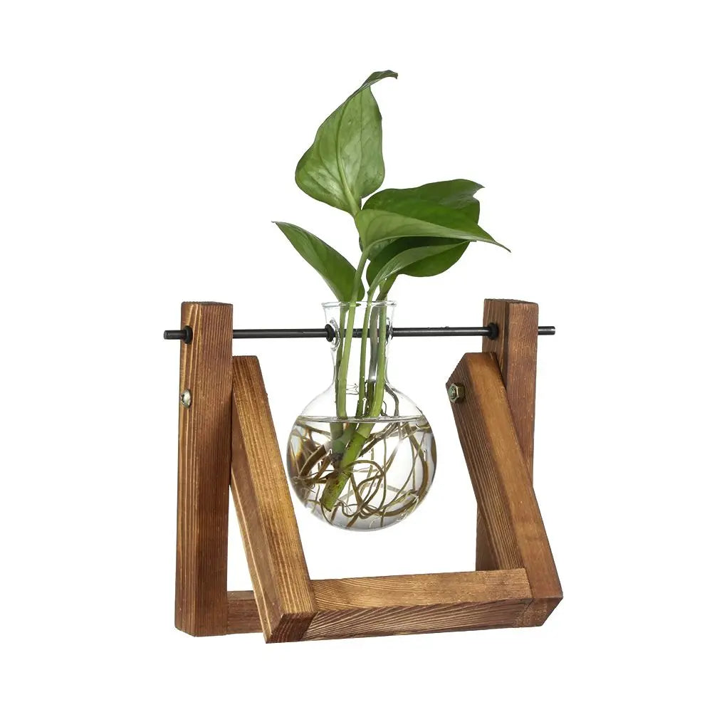 A sleek transparent glass vase with a wooden frame holding green leaves and submerged roots for hydroponic planting