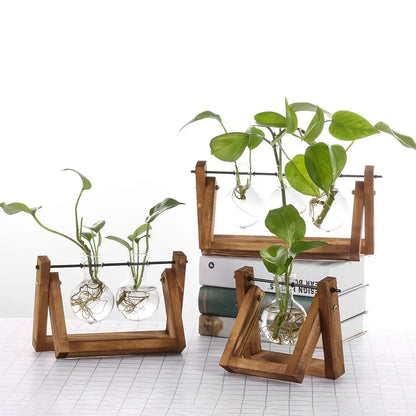 Wooden a-frame tabletop planter with clear glass spheres holding green leafy plants for hydroponic decoration