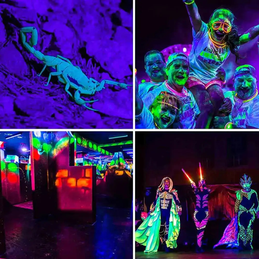 Glowing neon scorpion figurine illuminated by decorbites 100w led uv blacklight panel with bright blue led light