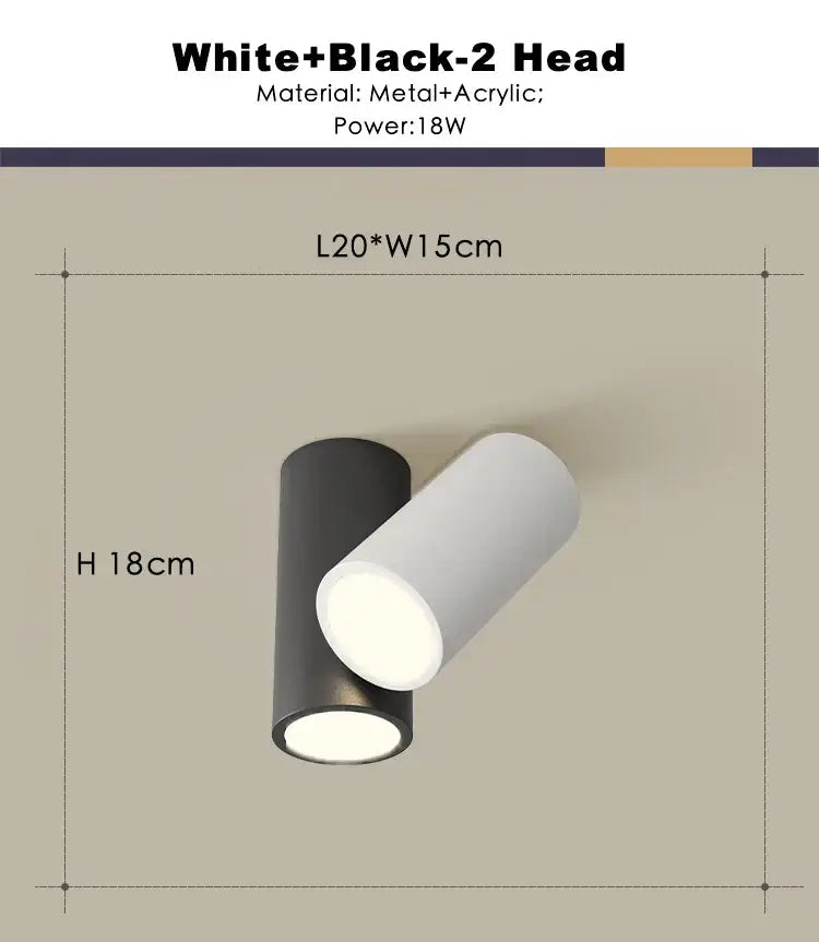 Modern white and black dual-head dimmable ceiling spot light with sleek metal and acrylic design for living room use