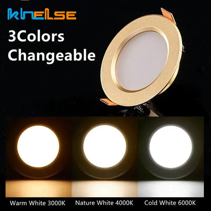 Decorbites gold led ceiling recessed downlight with three color options warm white nature white and cold white