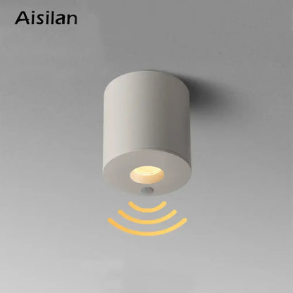 Aisilan white cylindrical ceiling-mounted led sensor downlight with warm glow and human body detection