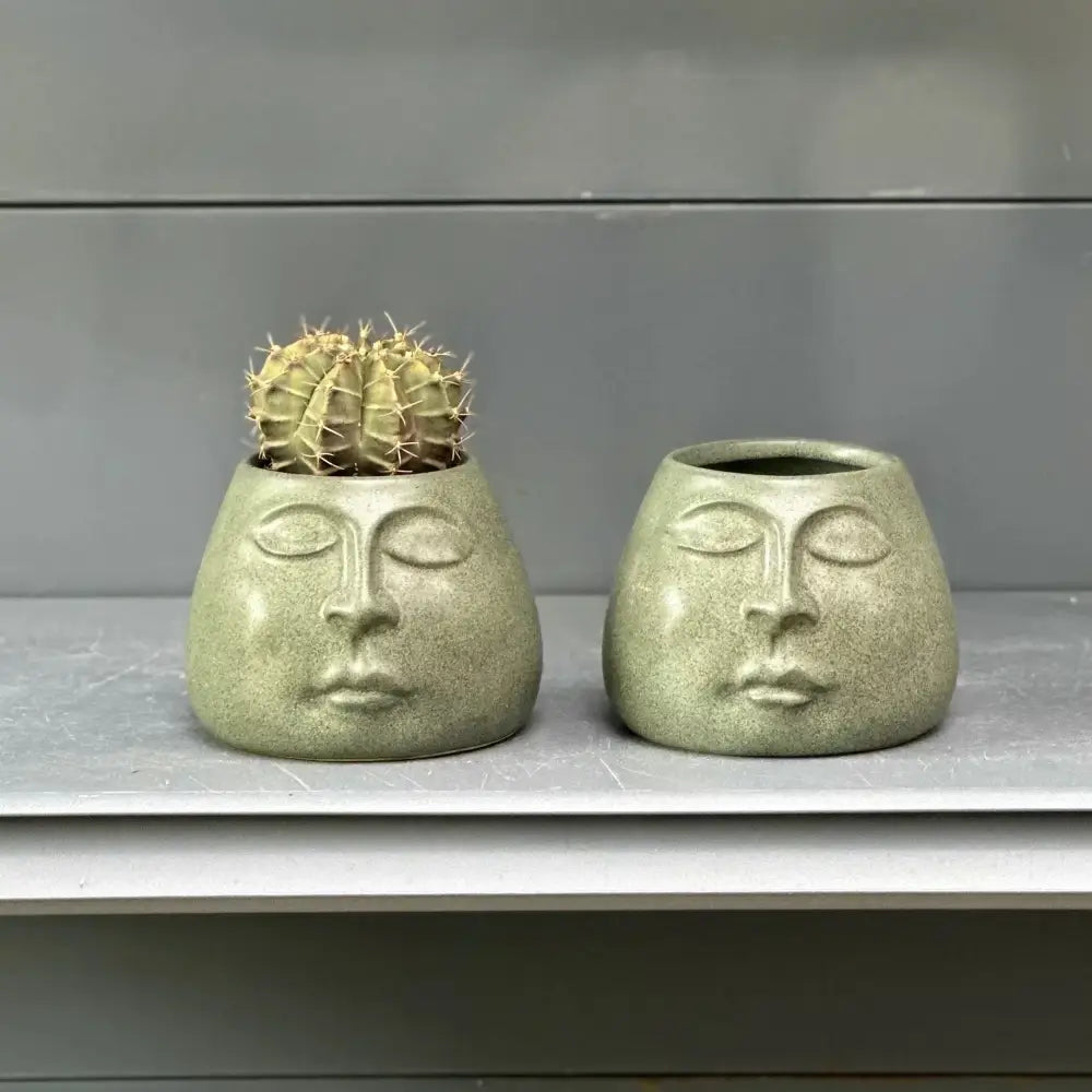 Two sage green decorbites abstract face ceramic planters, one holding a spiky golden cactus for home decor accessories