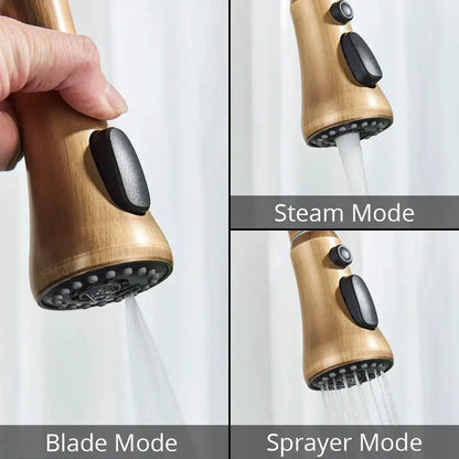 Decorbites™ antique brass kitchen faucet with bronze finish black rubberized buttons and multiple spray settings