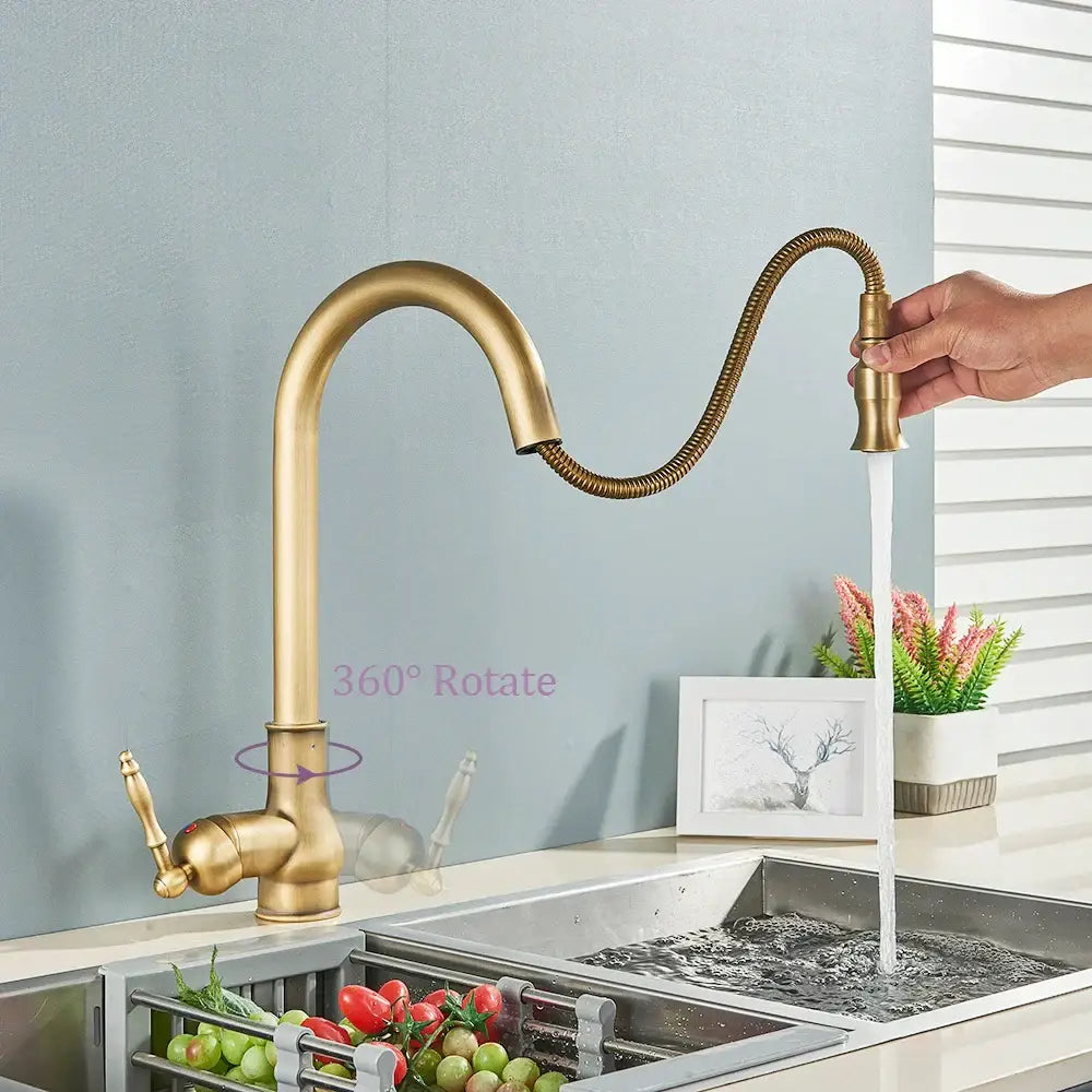 Decorbites™ antique brass kitchen sink faucet with flexible coiled spout and 360-degree rotating base in brass finish