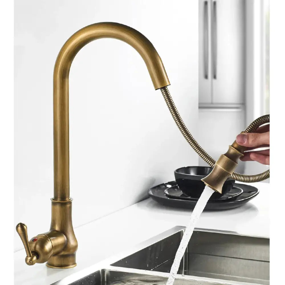 Decorbites antique brass kitchen sink faucet with pull down swivel spout and flexible gooseneck spout with textured handle