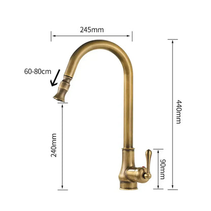 DecorBites antique brass kitchen sink faucet with pull down swivel spout and single lever handle in brass finish