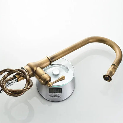 Decorbites antique brass pull kitchen faucet with curved spout and coiled hose in brass pull finish