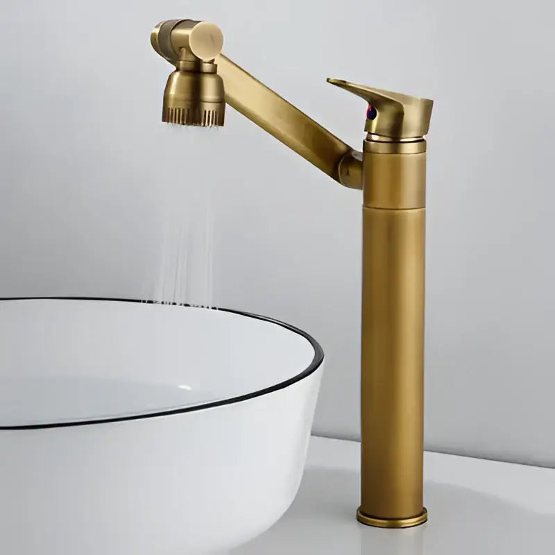 Decorbites™ antique bronze bathroom sink faucet with gold curved spout and adjustable spray head deck mounted mixer