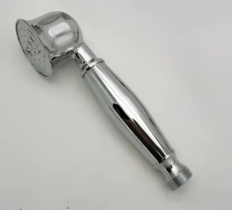 Chrome finished decorbites antique handheld shower head with elongated handle and perforated spray face for versatile use