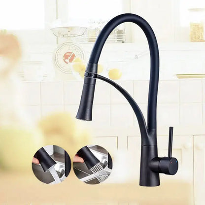 Decorbites™ black matte kitchen mixer tap with flexible gooseneck spout and pull-down spray head in chrome finish