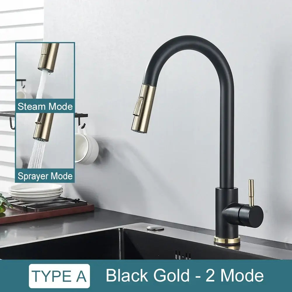 DecorBites black kitchen faucet with black and gold finish, single handle pull out mixer, two function hot and cold taps