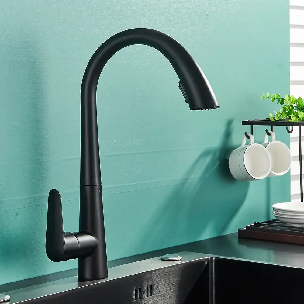 Decorbites black kitchen faucet with matte finish curved spout single lever control and pull out sprayer