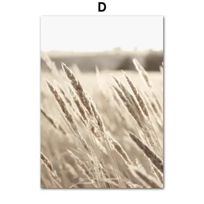 DecorBites™ bohemian beach landscape wall art featuring beige flower grass wheat stalks with soft golden lighting