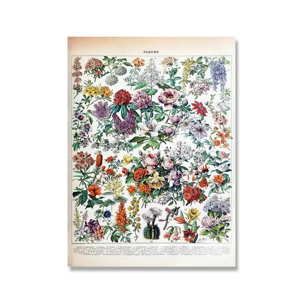 Vintage botanical illustration poster with vibrant colorful flowers in intricate detail from adolphe millot encyclopedia prints