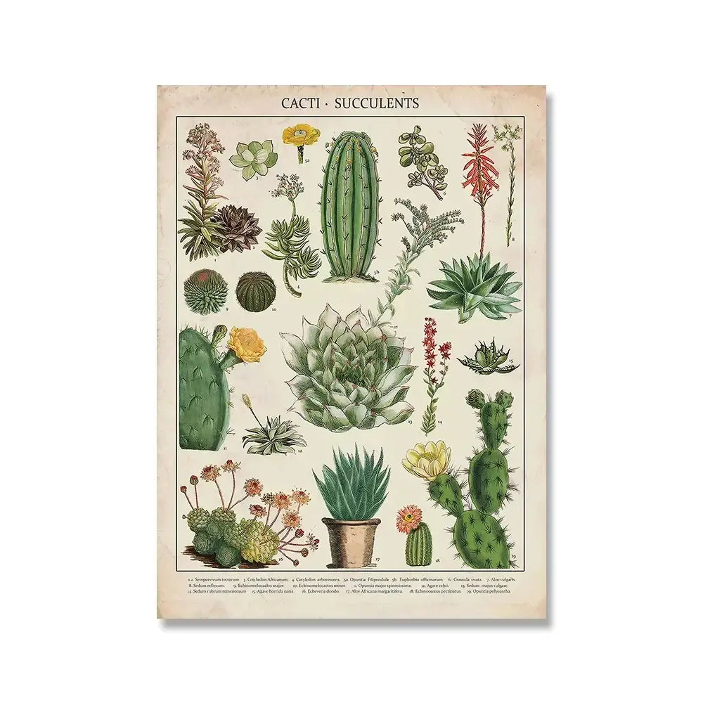 Vintage botanical illustration poster of cacti and succulents in muted tones from adolphe millot encyclopedia by decorbites