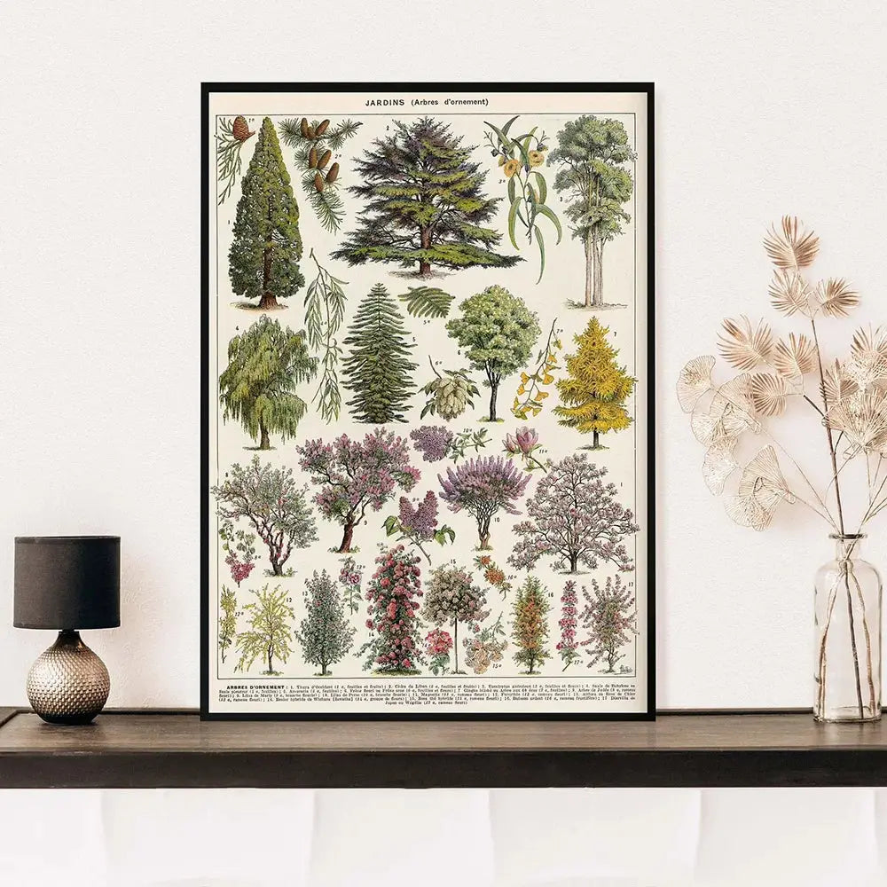 Vintage botanical poster framed in black with detailed colored tree illustrations from adolphe millot encyclopedia print