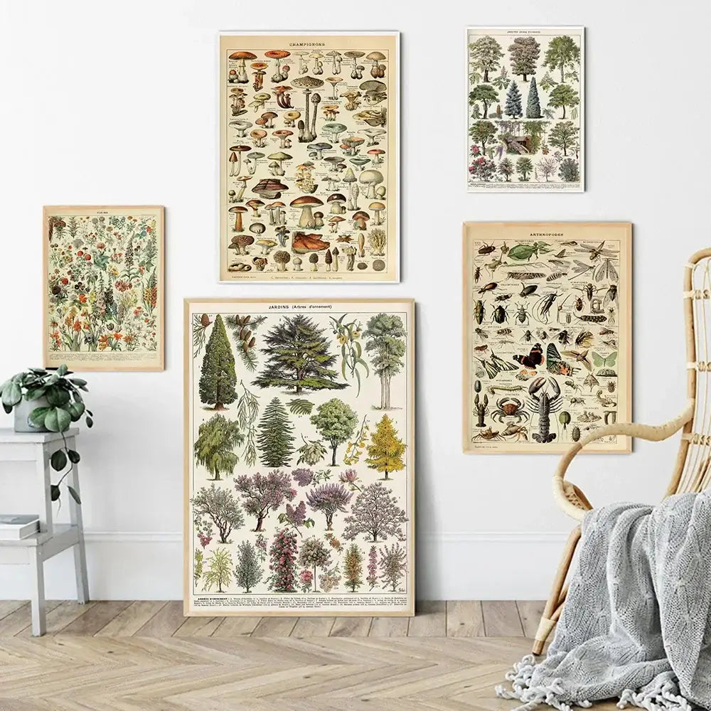 Set of DecorBites™ botanical vintage encyclopedia prints wall art with adolphe millot encyclopedia illustrations in wood frames